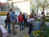 bild-282